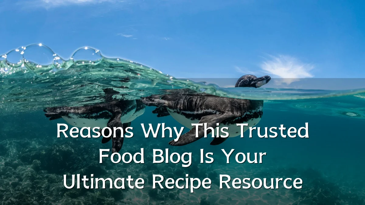 Reasons Why This Trusted Food Blog Is Your Ultimate Recipe Resource