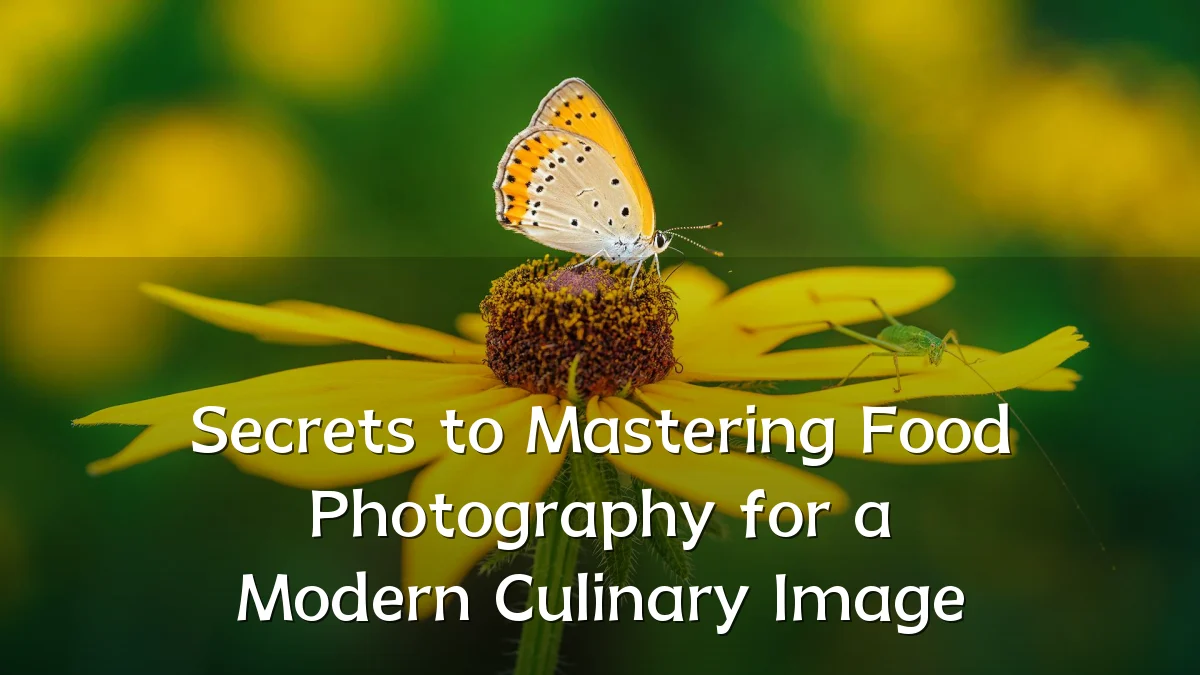 Secrets to Mastering Food Photography for a Modern Culinary Image