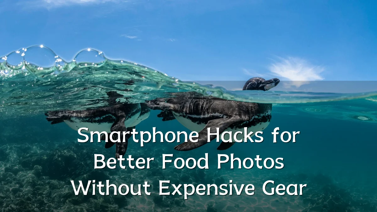 Smartphone Hacks for Better Food Photos Without Expensive Gear