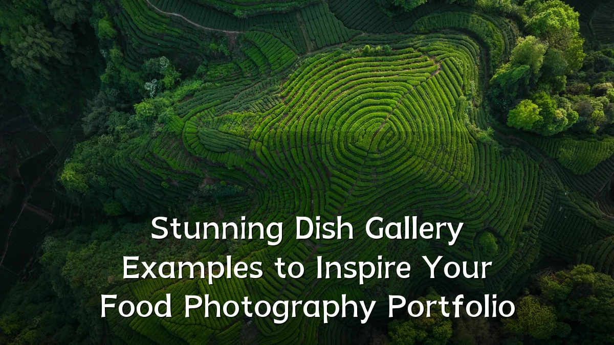 Stunning Dish Gallery Examples to Inspire Your Food Photography Portfolio