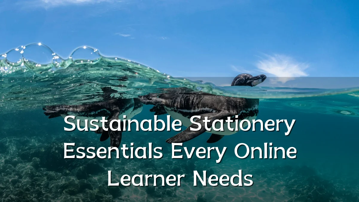 Sustainable Stationery Essentials Every Online Learner Needs
