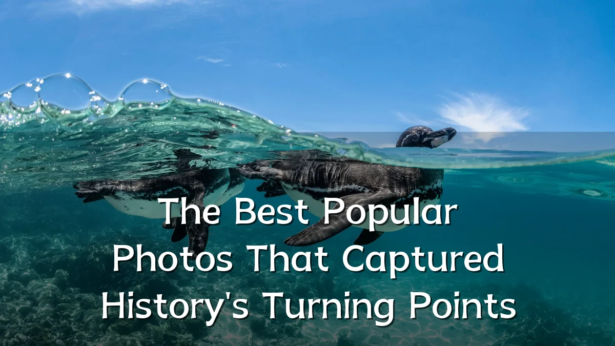 The Best Popular Photos That Captured History's Turning Points