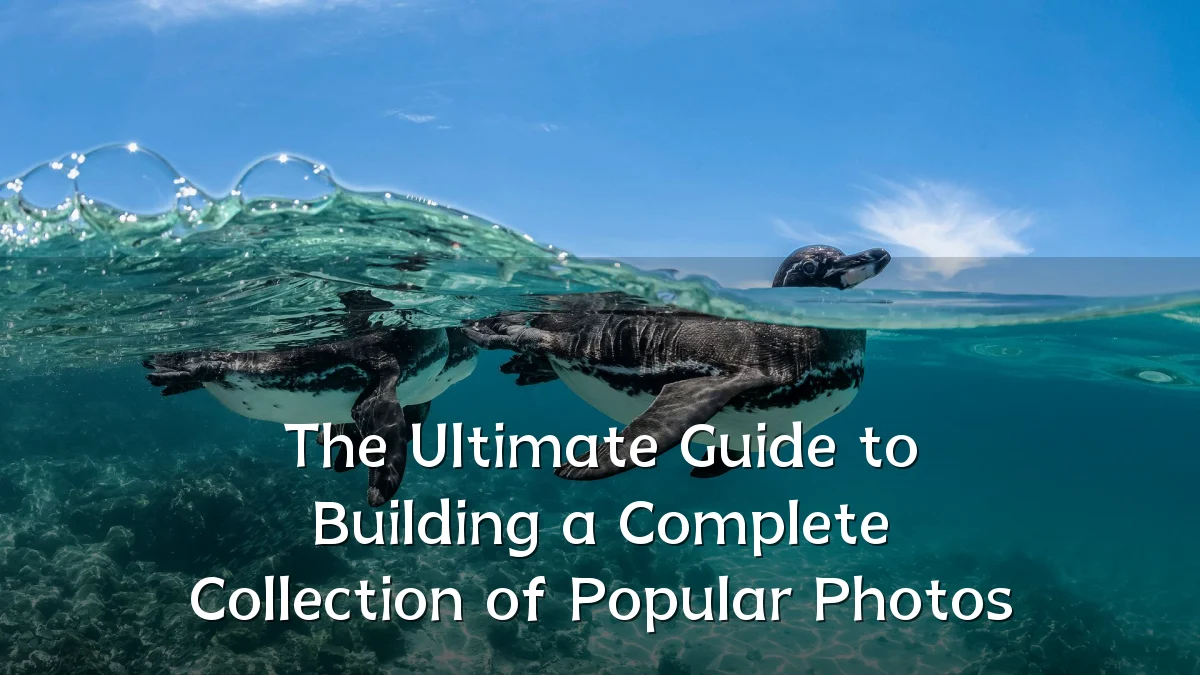 The Ultimate Guide to Building a Complete Collection of Popular Photos