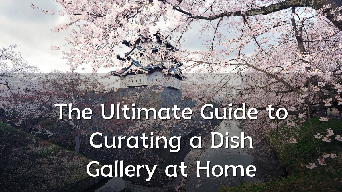 The Ultimate Guide to Curating a Dish Gallery at Home