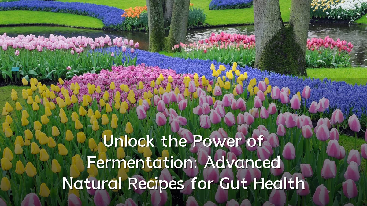 Unlock the Power of Fermentation: Advanced Natural Recipes for Gut Health
