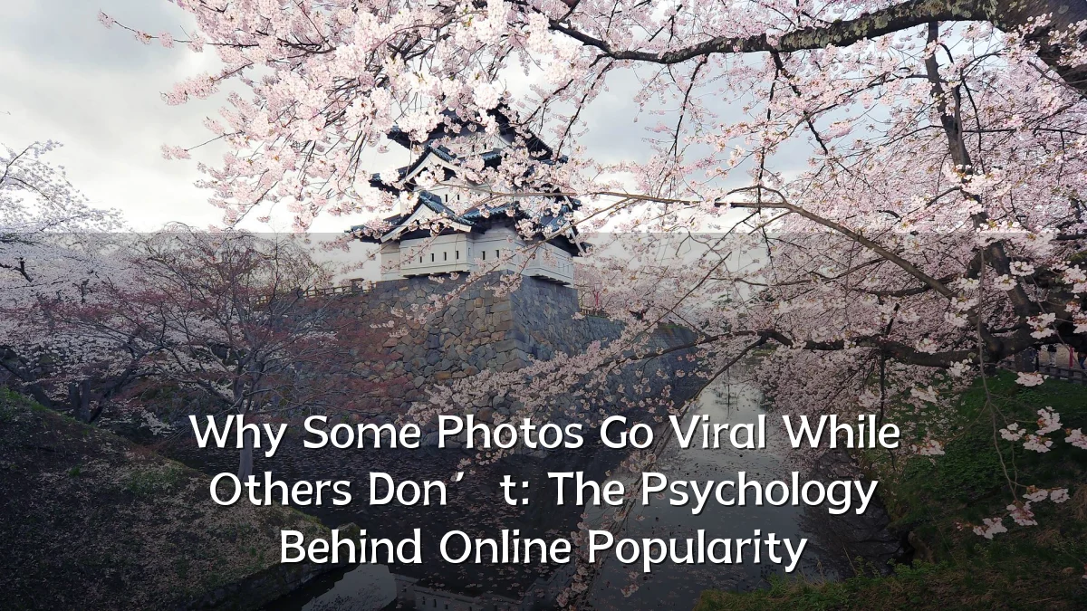 Why Some Photos Go Viral While Others Don’t: The Psychology Behind Online Popularity