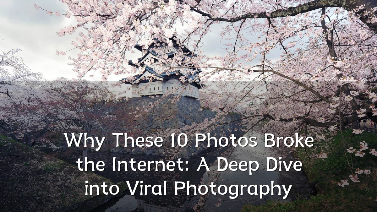 Why These 10 Photos Broke the Internet: A Deep Dive into Viral Photography