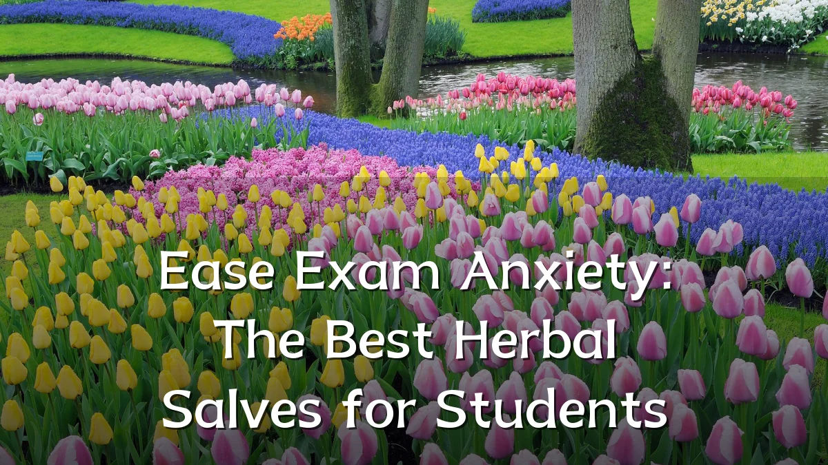 Ease Exam Anxiety: The Best Herbal Salves for Students