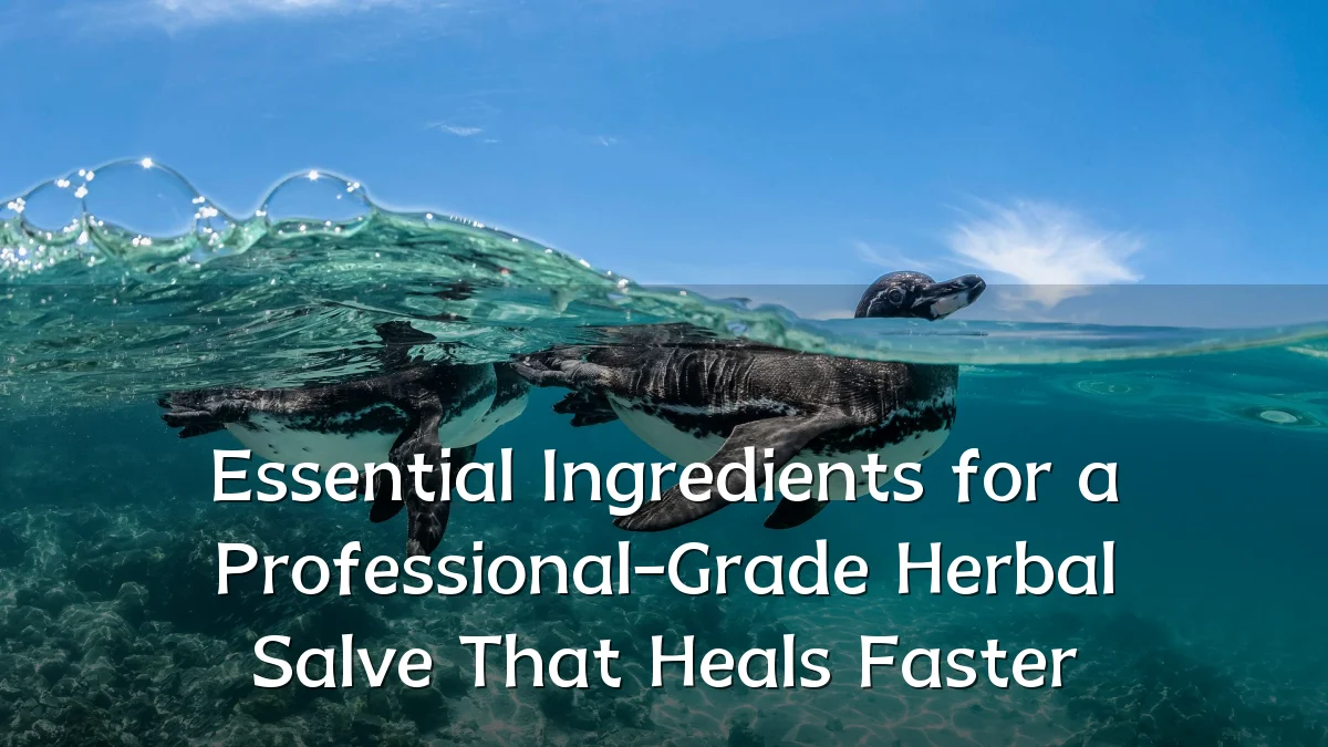 Essential Ingredients for a Professional-Grade Herbal Salve That Heals Faster