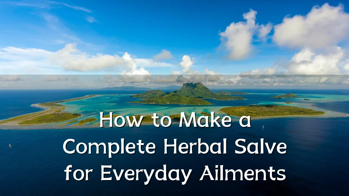 How to Make a Complete Herbal Salve for Everyday Ailments