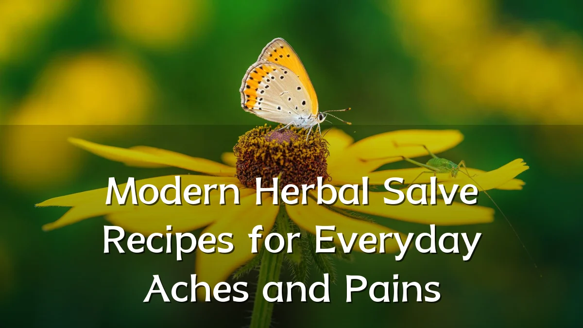 Modern Herbal Salve Recipes for Everyday Aches and Pains