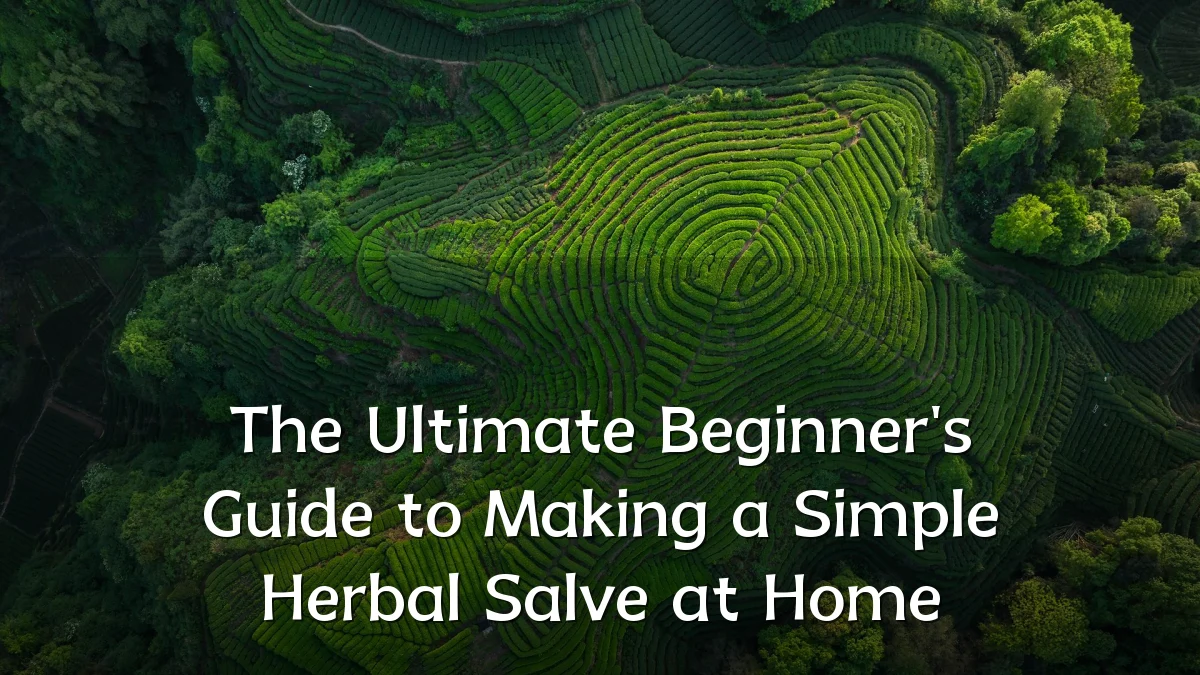 The Ultimate Beginner's Guide to Making a Simple Herbal Salve at Home