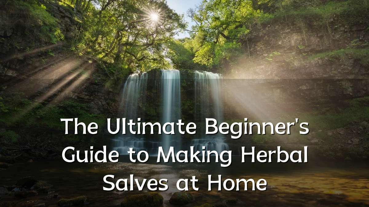 The Ultimate Beginner's Guide to Making Herbal Salves at Home