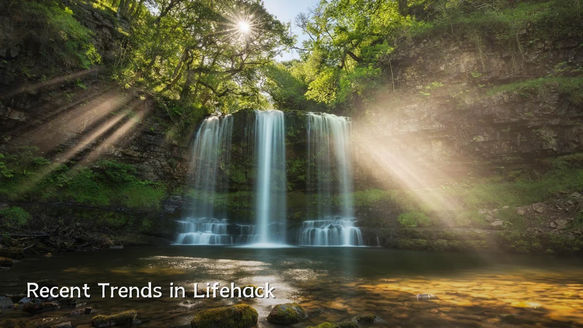 Recent Trends in Lifehack