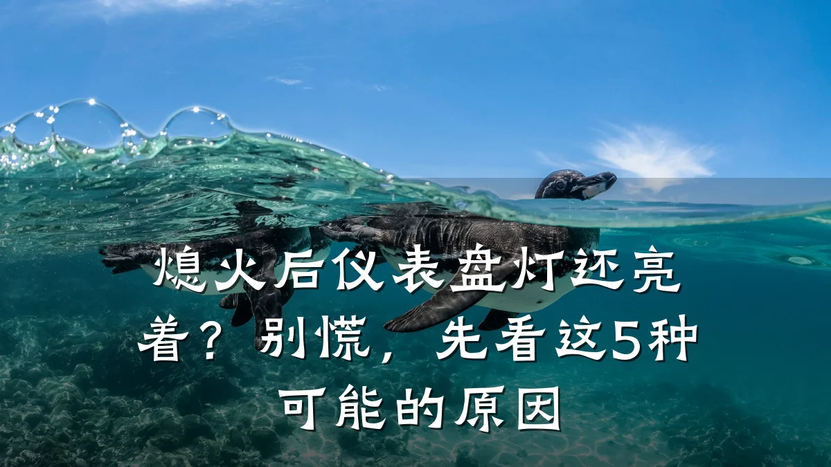熄火后仪表盘灯还亮着?别慌,先看这5种可能的原因