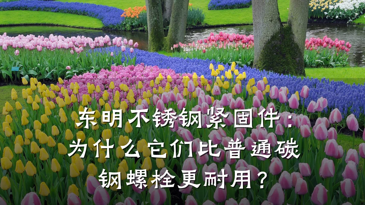 东明不锈钢紧固件：为什么它们比普通碳钢螺栓更耐用？