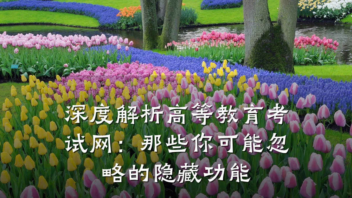 深度解析高等教育考试网:那些你可能忽略的隐藏功能