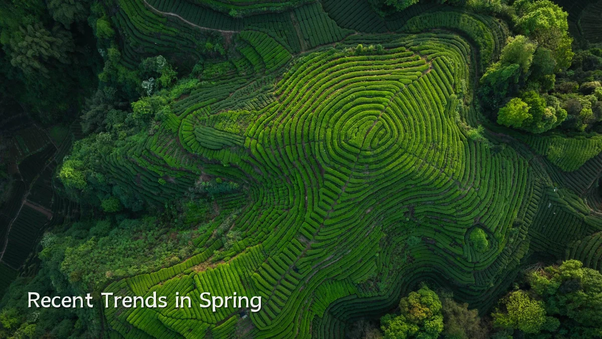 Recent Trends in Spring